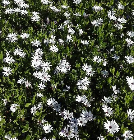 Fontevecchia לינה וארוחת בוקר קאסטלסארדו